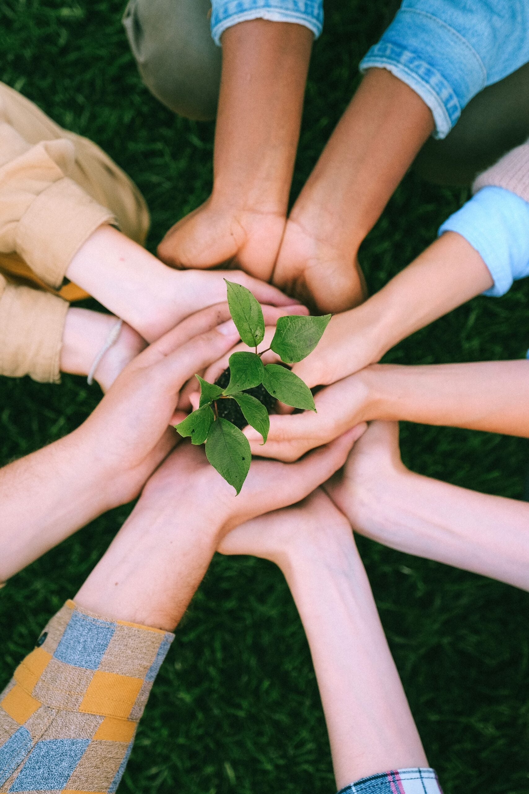 From Isolation to Connection: Why Belonging Matters in Addiction Recovery